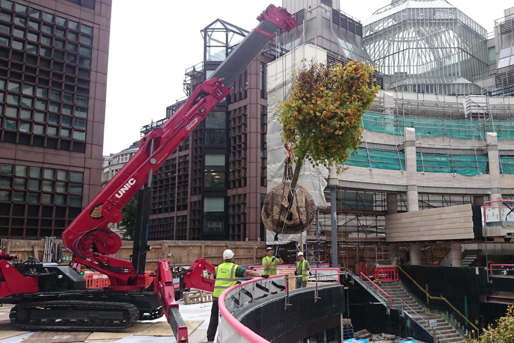 SPYDERCRANE mini crane transplanting a tree